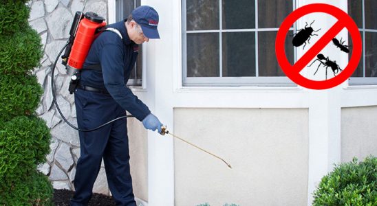 Yunusemre Kene İlaçlama böcek ilaçlama ve haşere kontrolü — ilaclama-tr.com